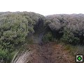 thn_steward island 004.jpg